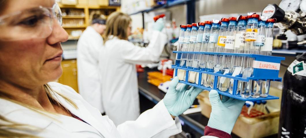 personal in lab holding rack of test tubes